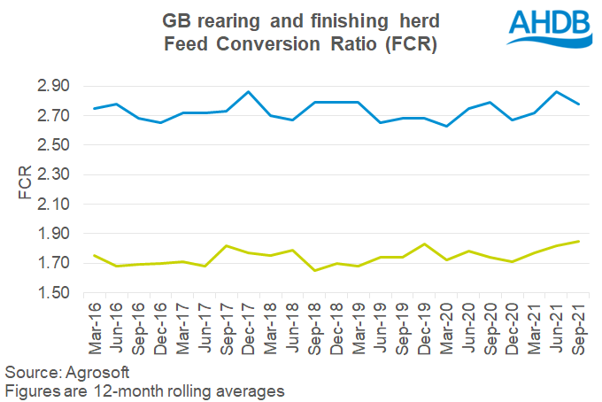 Chart of feed conversion ratios for the GB rearing and finishing herd